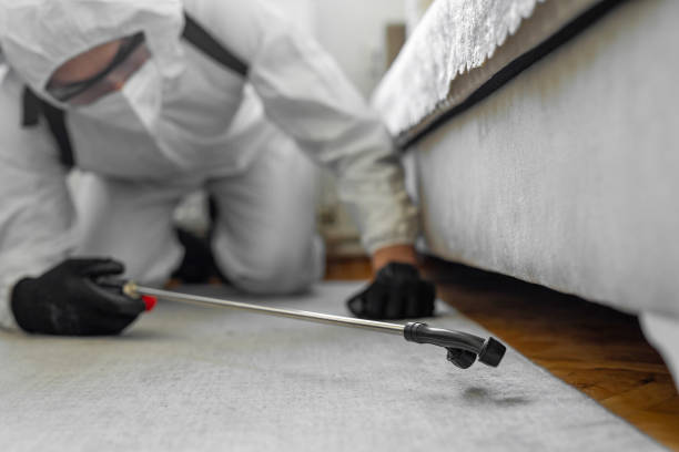 Professional Bed Bug Control technician working in Brooklyn Park, MN