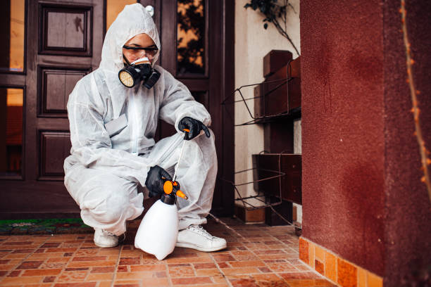 Reliable Bed Bug Control contractor in Brooklyn Park, MN by Nex Pest Control