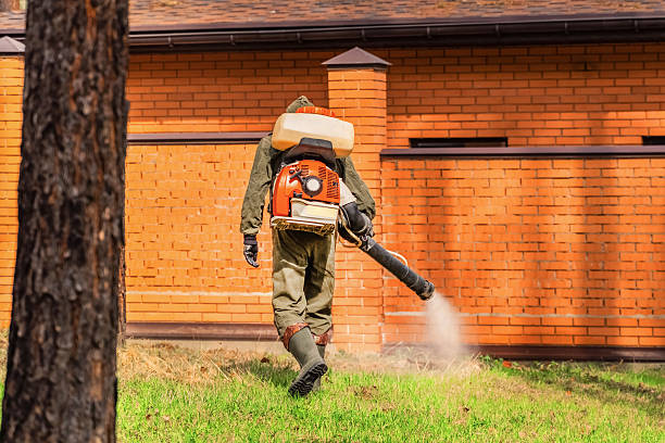 Top rated local Bed Bug Control specialists in Brooklyn Park, MN